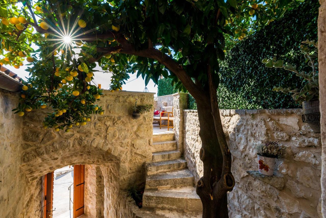 Villa Kanada Brsečine Dış mekan fotoğraf